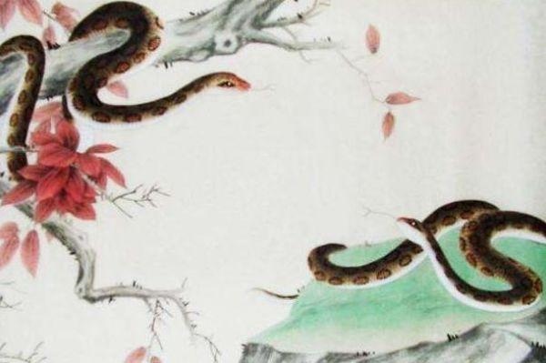 属蛇的运气如何，属蛇今年桃花运怎么样