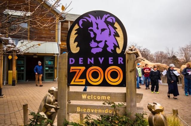 虎和蛇做夫妻好不好，男属虎女属蛇婚配情况