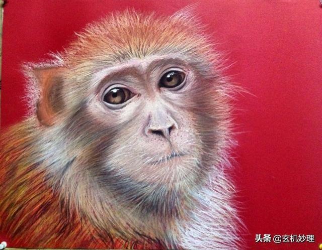 970年属狗明天财运如何,1970年属狗在牛年的运势"