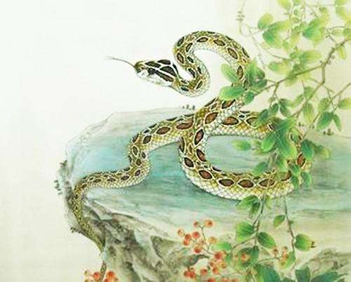 属蛇不能找属什么的,属蛇不能和什么在一起