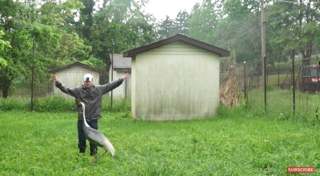 虎和蛇做夫妻好不好，男属虎女属蛇婚配情况