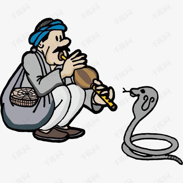 蛇到冬天为什么会冬眠，天冷了蛇是怎么过冬的