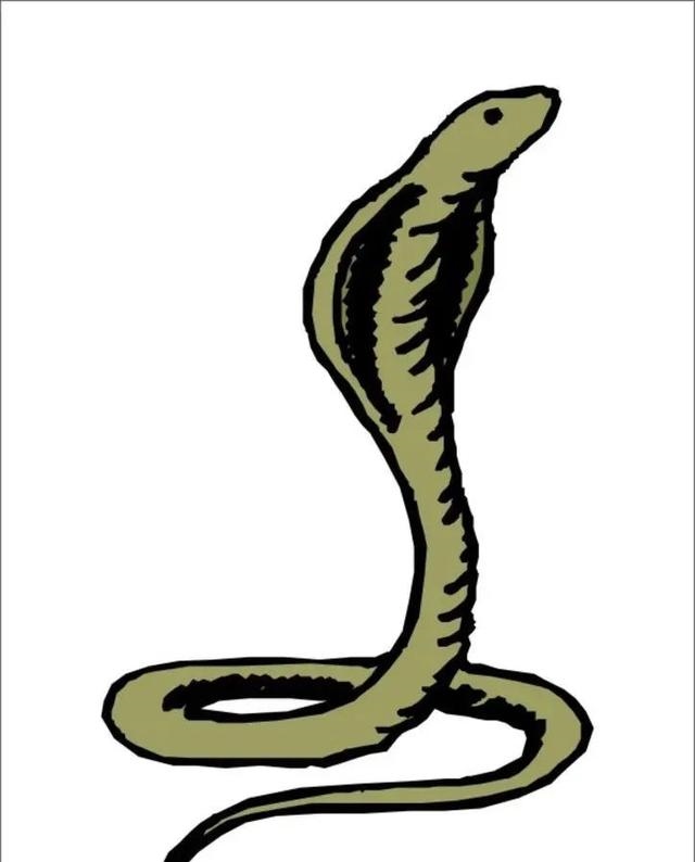 看见蛇的人运气好不好，如何提升自己的运气