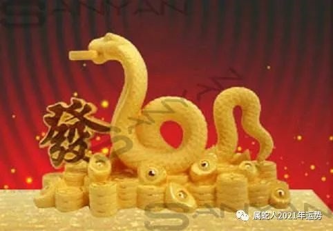 属蛇的今年60几岁，属蛇50几岁是几几年的