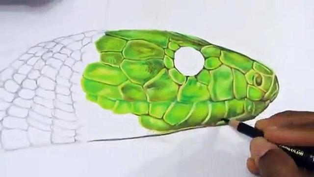 属蛇怕什么颜色，属虎怕什么颜色