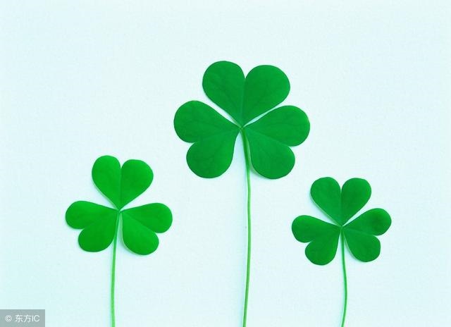 下周运势更好的生肖，下周运势超顺的生肖