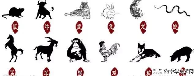 属蛇的贵人属相是什么，属马的小人属相是什么