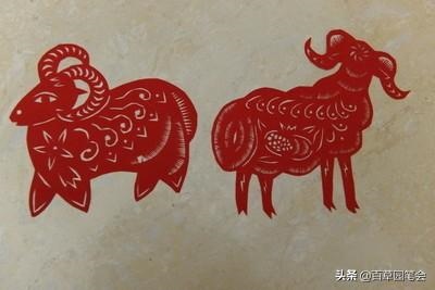 979年属羊女的命运如何,1979年属羊女的贵人"