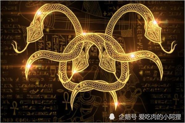 属蛇的数字有哪几个,属蛇人幸运颜色和数字