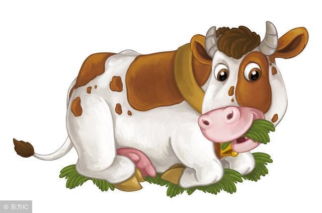 月属牛的命运如何,2022