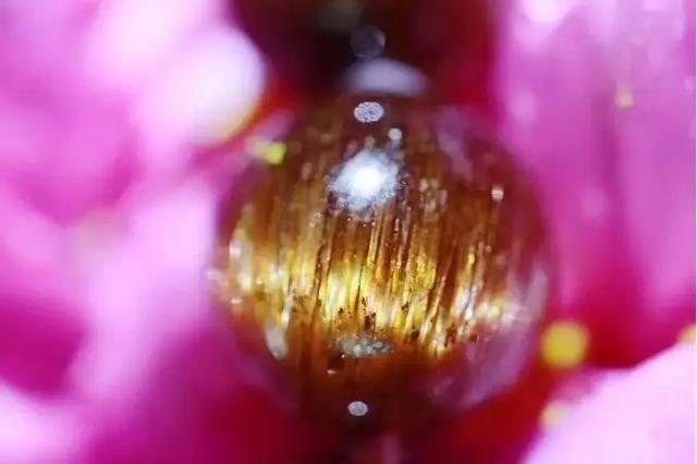 带什么饰品最招财聚财，什么挂件能招财聚财