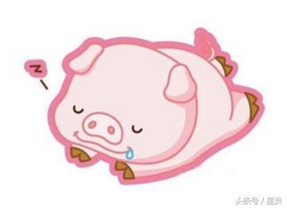 狗年贵人是什么生肖,属狗的贵人是什么属相