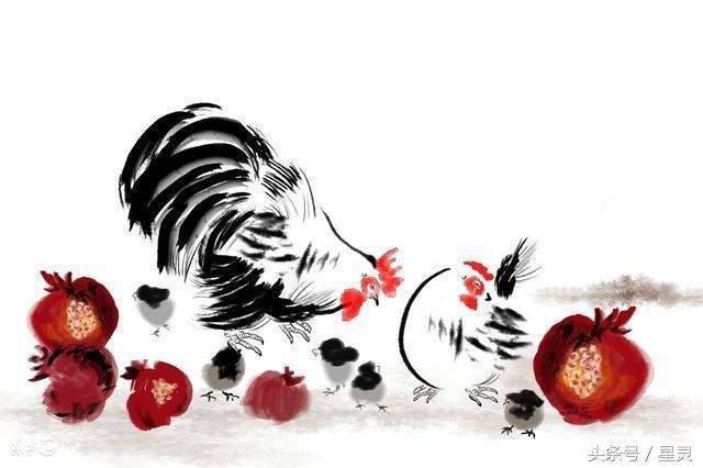 3年属鸡未来5年运势走向，属鸡2022