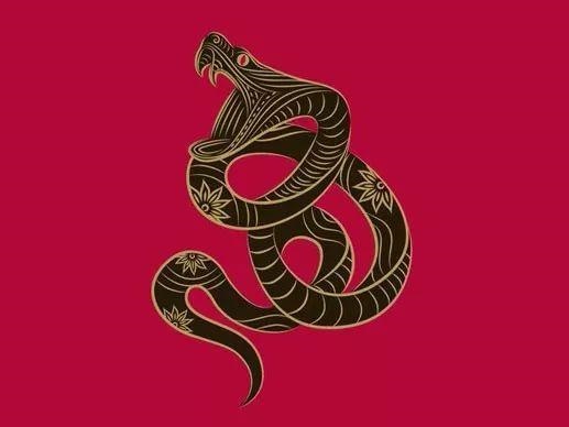 属龙有哪几年出生精准算法，属龙的几月份出生更好