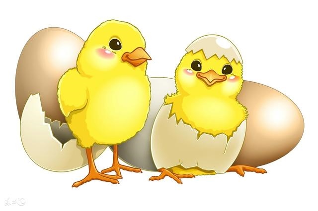 属鸡人更大靠山是谁34，属鸡的几月出生更好