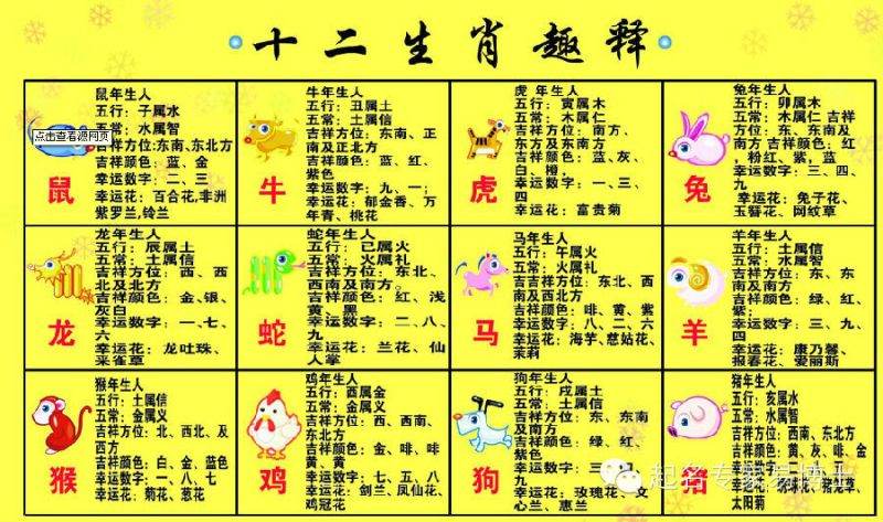 属马人跟什么属相相克，属龙和什么生肖相冲相克