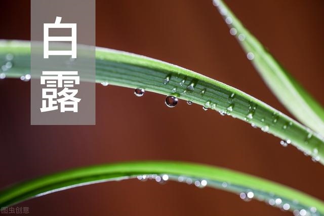 4年狗2022年必有一难，2023属狗人全年运势女"