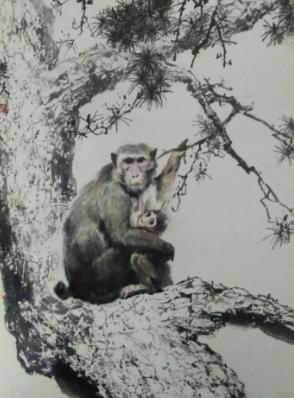 8年属猴的贵人，1968年2022