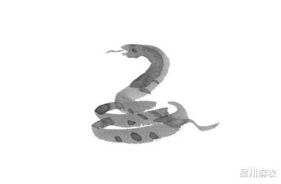 男生属蛇更佳配偶，蛇男最不宜的婚配属相