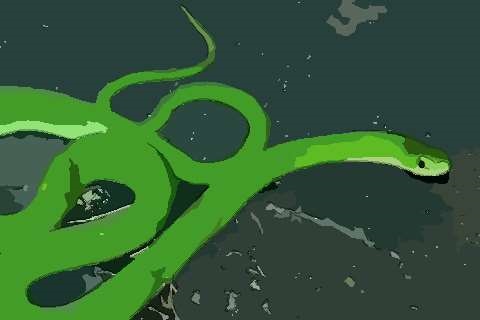 977年到2022年多少岁，77年属蛇男有2段婚姻"