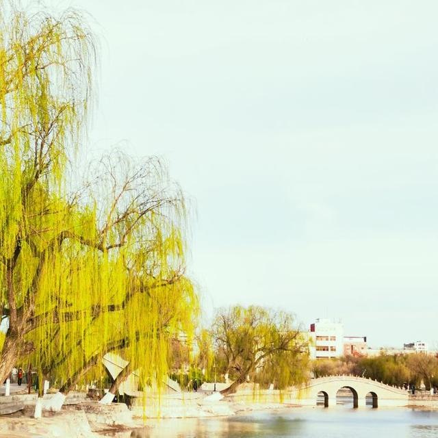 虚岁85属什么，属鼠85岁那年出生