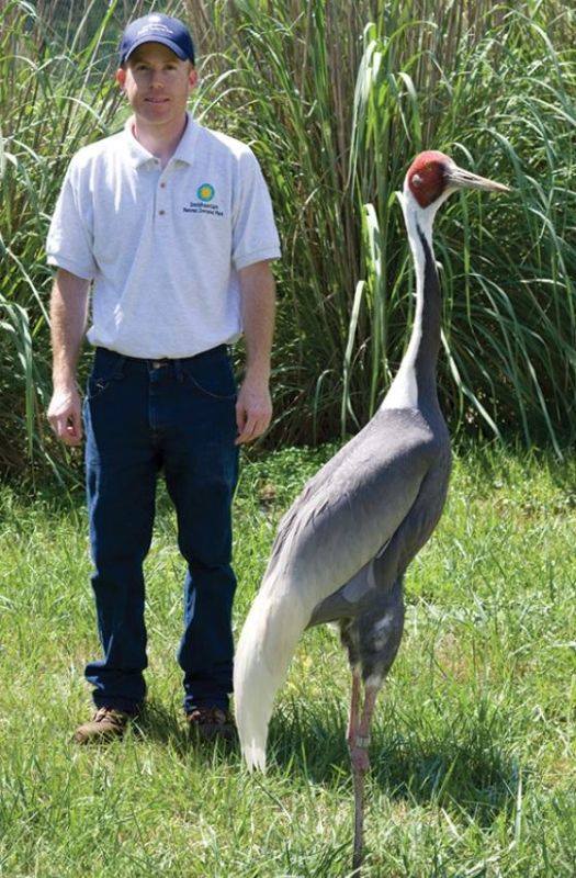 虎和蛇做夫妻好不好，男属虎女属蛇婚配情况