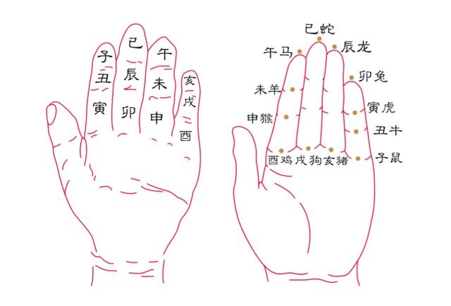 1年属蛇的本命年，01年属蛇的是什么命"