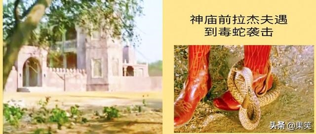 属蛇女的婚配表，男属蛇女属羊婚配表