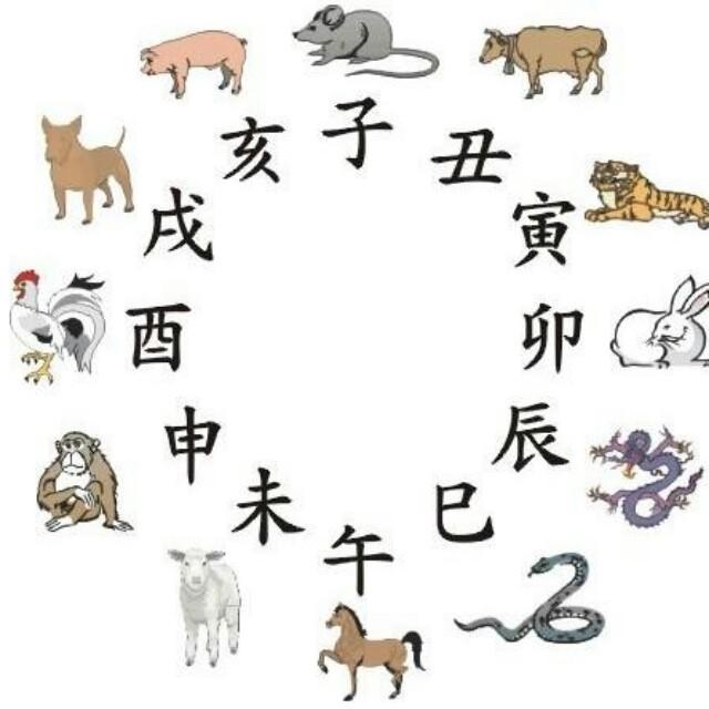 十二生肖下周一周运势，2022 年十二生肖每日财运