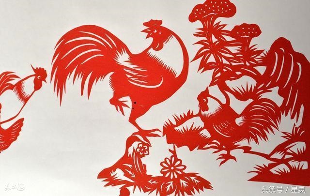 3年属鸡未来5年运势走向，属鸡2022