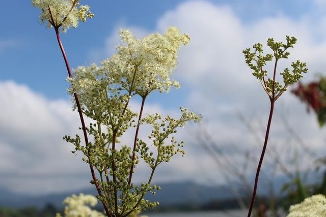 022年什么星座运势更好，2022年度星座运势"