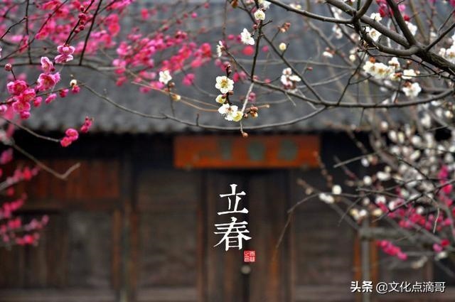 立冬是属什么生肖，立冬是冬至吗