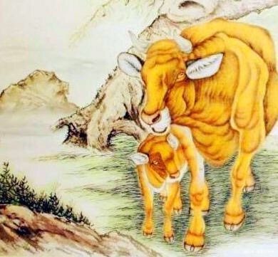 属蛇和属羊的人合财吗，属羊和属蛇的财运怎么样