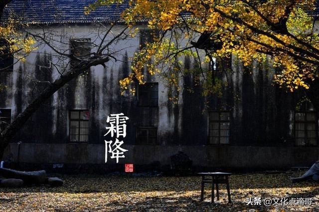 立冬是属什么生肖，立冬是冬至吗