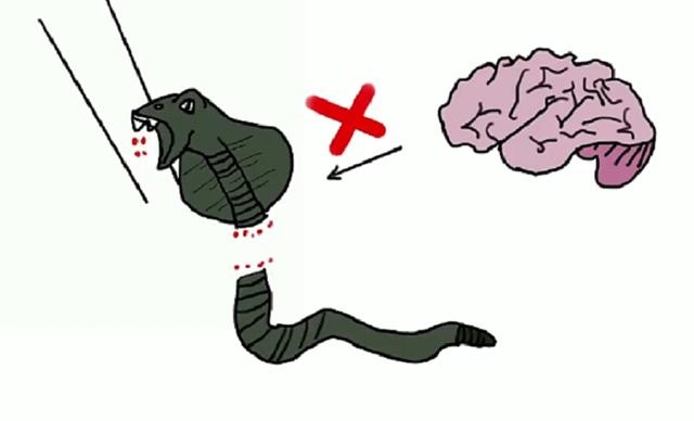 7年农历四月的蛇是什么命,1978年属马的是什么命"