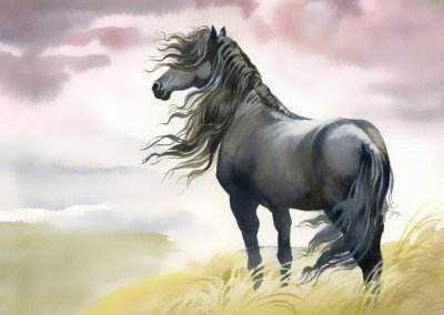 属鸡的和属羊的合财吗，男属鸡女属羊的婚姻好不好