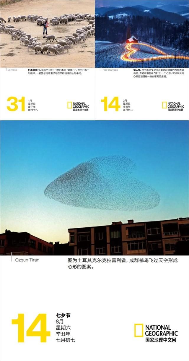 李居明2022年通胜，非常运势 2022年运势