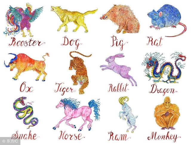 女的属蛇男的属虎好不好，女蛇男虎能过一生吗