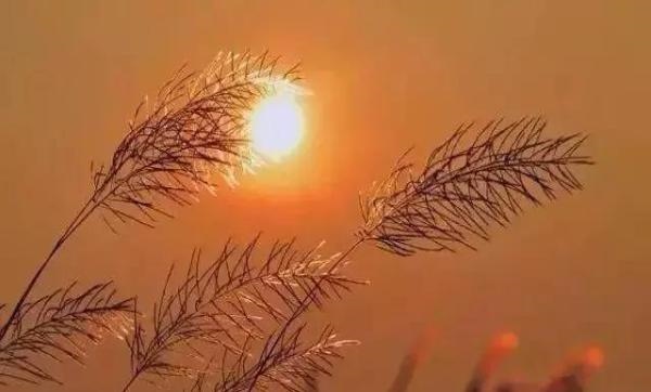 十月出生的命运好不好，农历10月出生的人命运