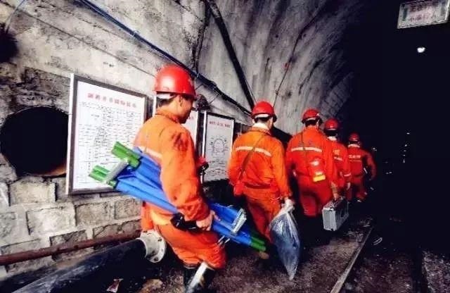 狗羊风包是什么样子，狗羊婚配的婚姻如何