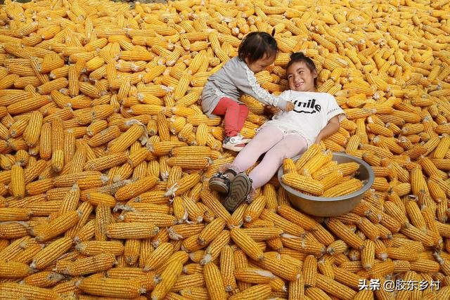 022年不生几月虎，2022年最容易生儿子的生肖"