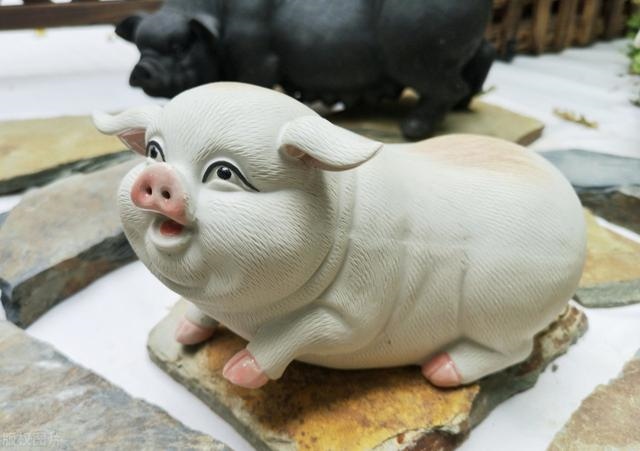 6年属马女人晚年的命运，66年属马人未来十年大运"