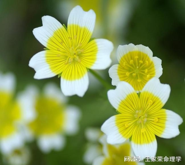 属猴2022发财方位,2022 年生肖运势完整版