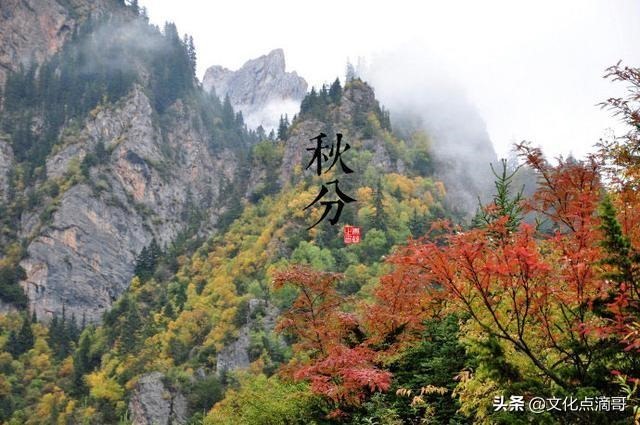 立冬是属什么生肖，立冬是冬至吗