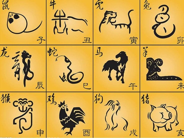 男属羊女属马婚配好吗，男人属羊的老婆属马好不好