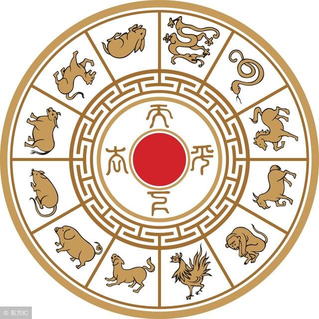 属狗人为何喜欢属蛇人，属蛇的和属狗人和不和