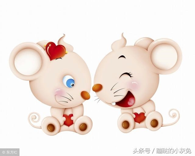 生肖属鼠的五行，一生旺属鼠的颜色