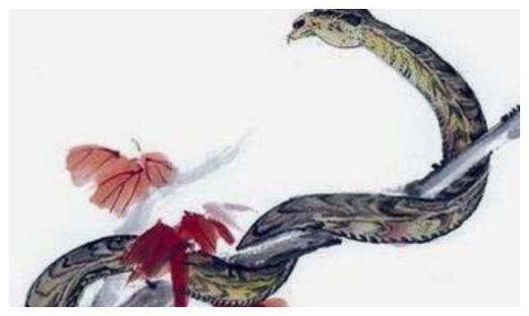 3岁属蛇婚姻，三十三属蛇的今年婚姻"