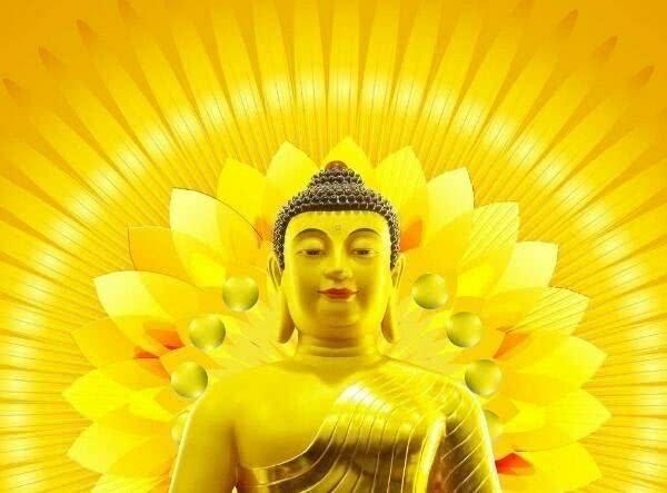 属蛇的女人心软吗，属蛇女爱什么男人