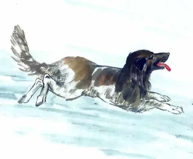 属虎人一生佩戴什么好图片，属虎人一生的吉祥物